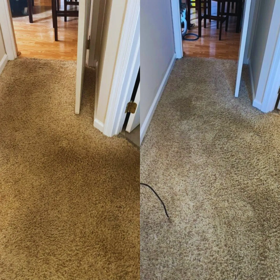 Carpet Beige Hallway — carpet cleaning before and after