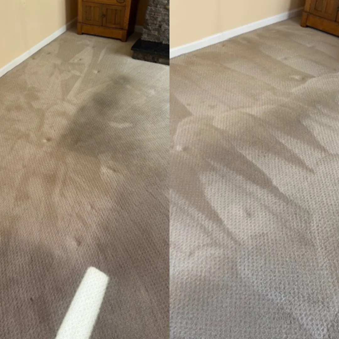 Carpet Living Room Traffic Lane — carpet cleaning before and after