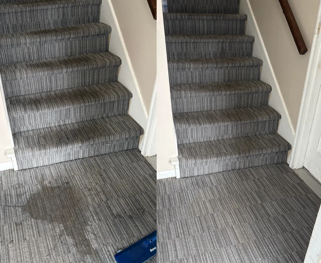 Carpet Cleaning before and after