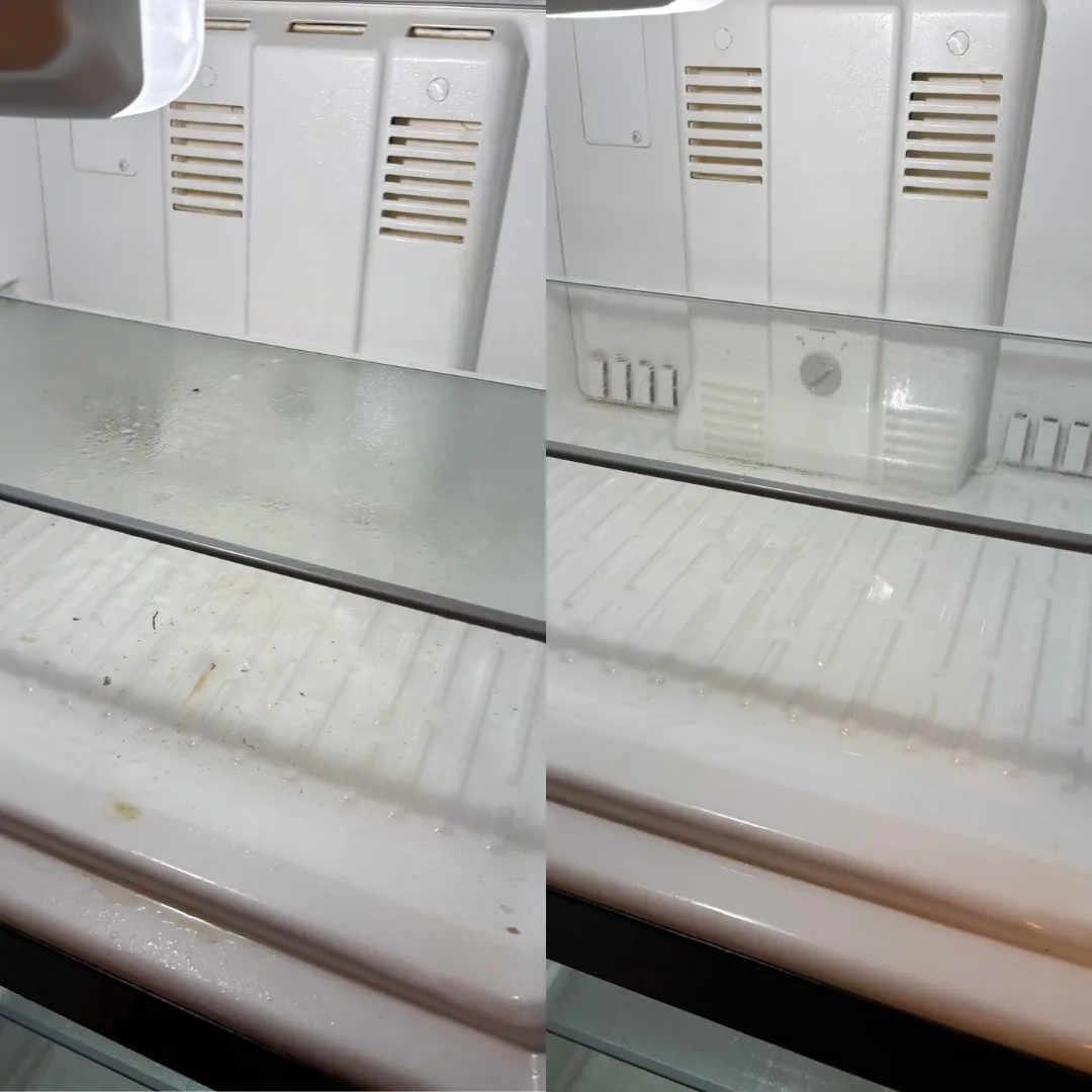 Freezer Interior — move-in / move-out before and after